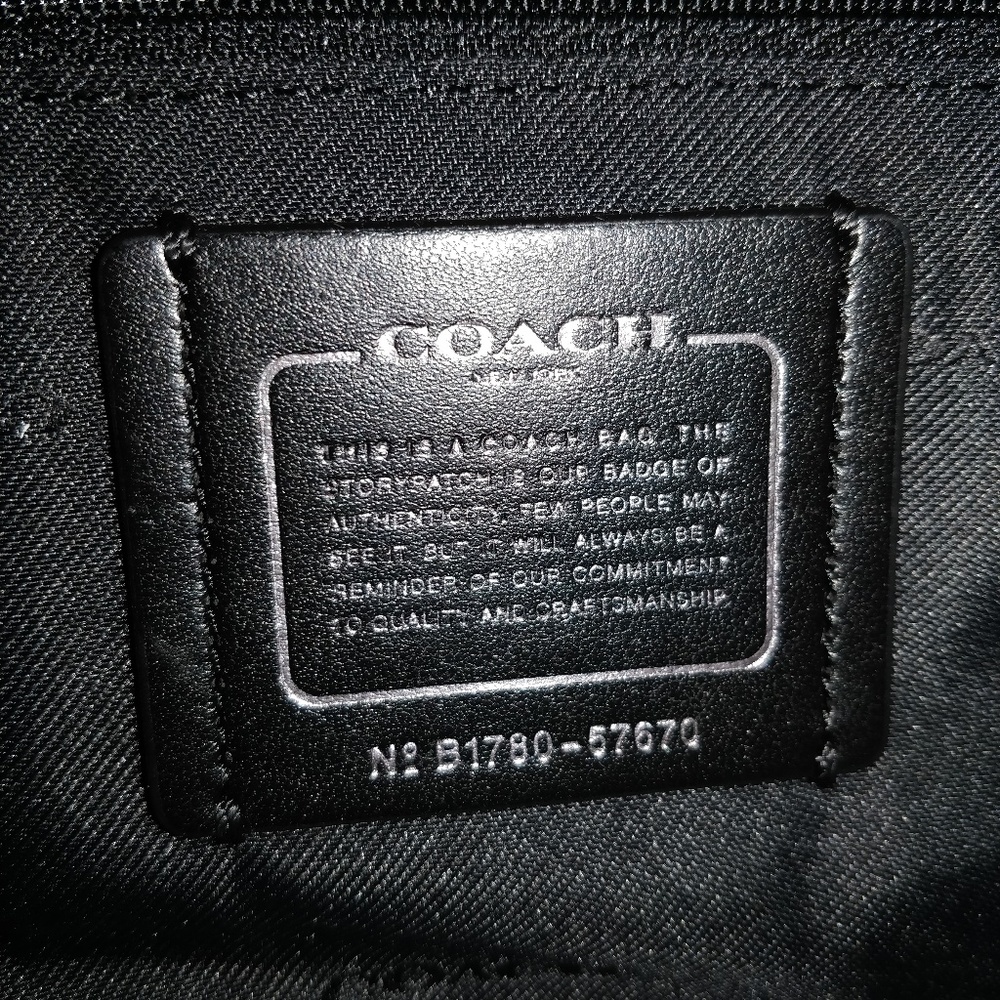 Sold - Coach Edie 31 Mixed Materials Snake Mineral - Picture 7 of 7